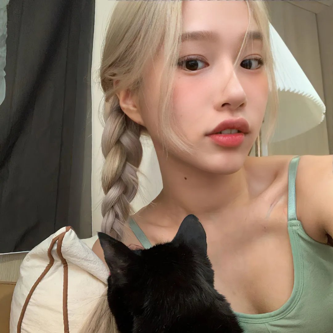 我的家人和其他动物